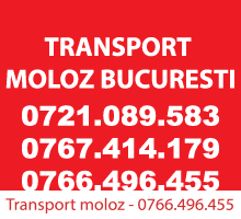 Transport moloz si gunoi Bucuresti si Ilfov – Sector 4