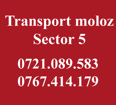 Pret transport moloz Bucuresti – Sector 5