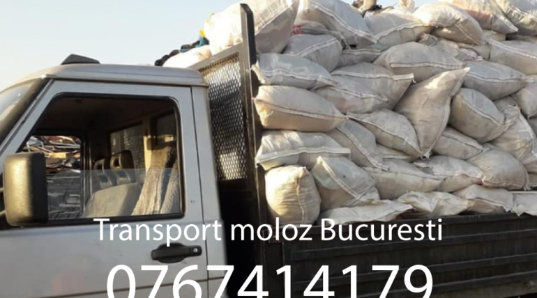 Transport moloz Zona Orizont Favorit – Sector 6