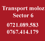 Transport moloz provenit din demolari – Sector 6