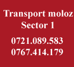 Incarcare si Transport moloz Bucuresti – Sector 1